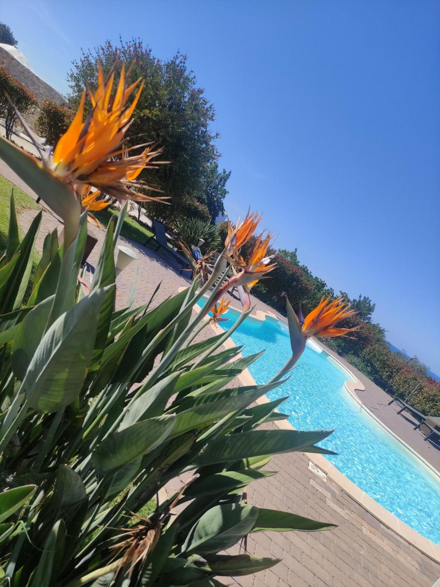 B&B La Vigna Каровиньо Экстерьер фото